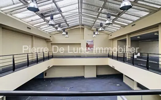 Commerce À vendre 1311 m²