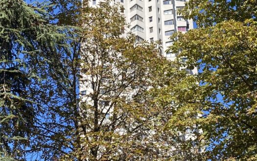 Appartement À louer 5 pièce(s) 98 m²